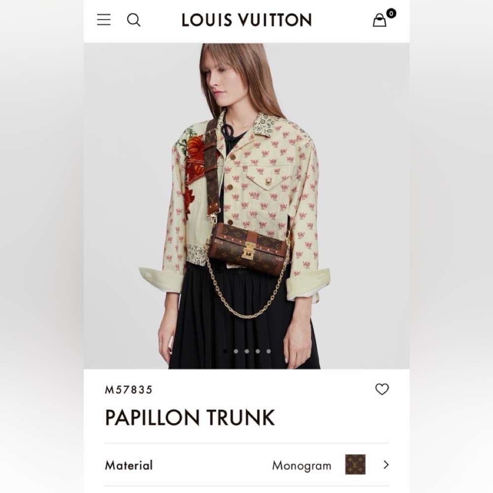 Louis Vuitton Bag